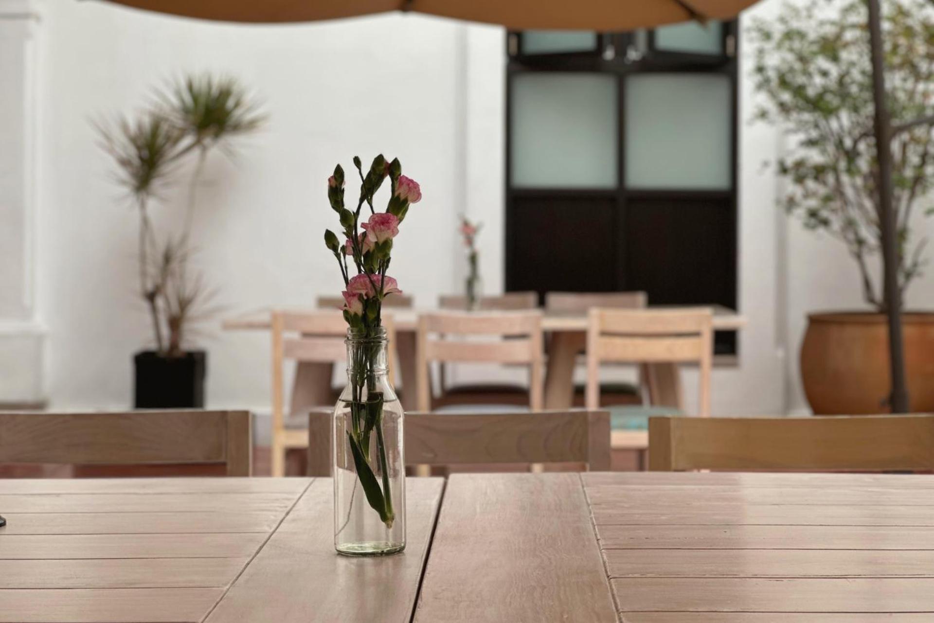 Hotel La Casa De Maria 오아하카주 외부 사진